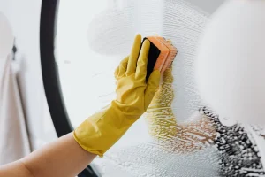 cleaning sponge