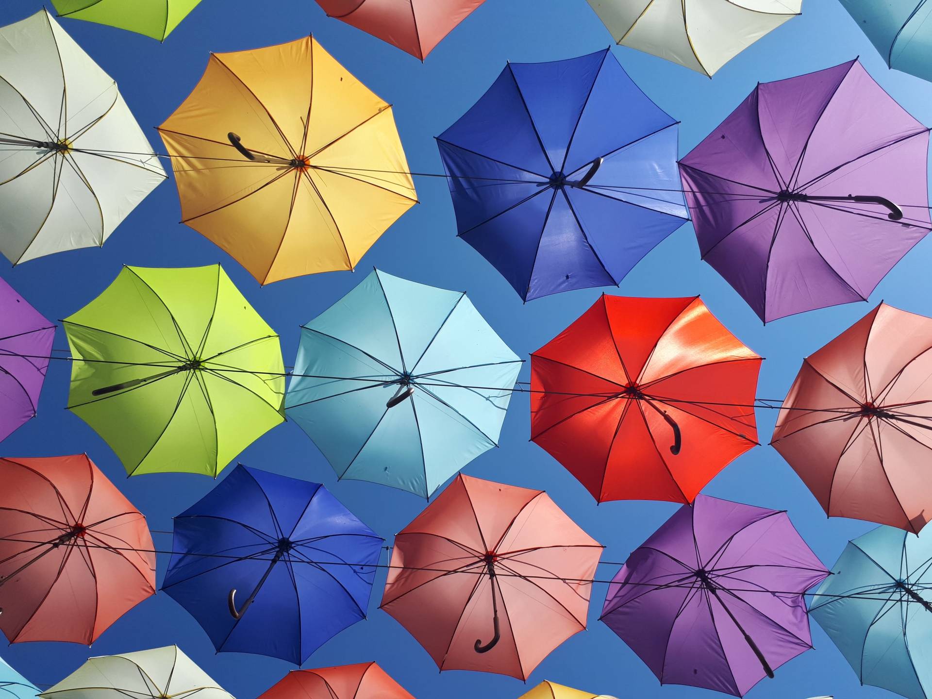 rainbow umbrellas in sky; weatherman umbrella